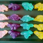 Soapasaurus