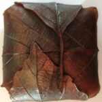 Autumn Wrapture