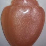 Cowrie shell