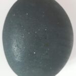Soap Rock  no 1 large round