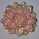 Lotus Rose